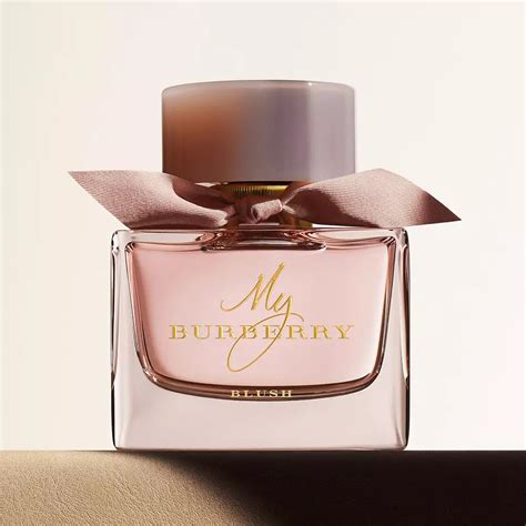 perfumes similar to burberry classic|burberry classic perfume review.